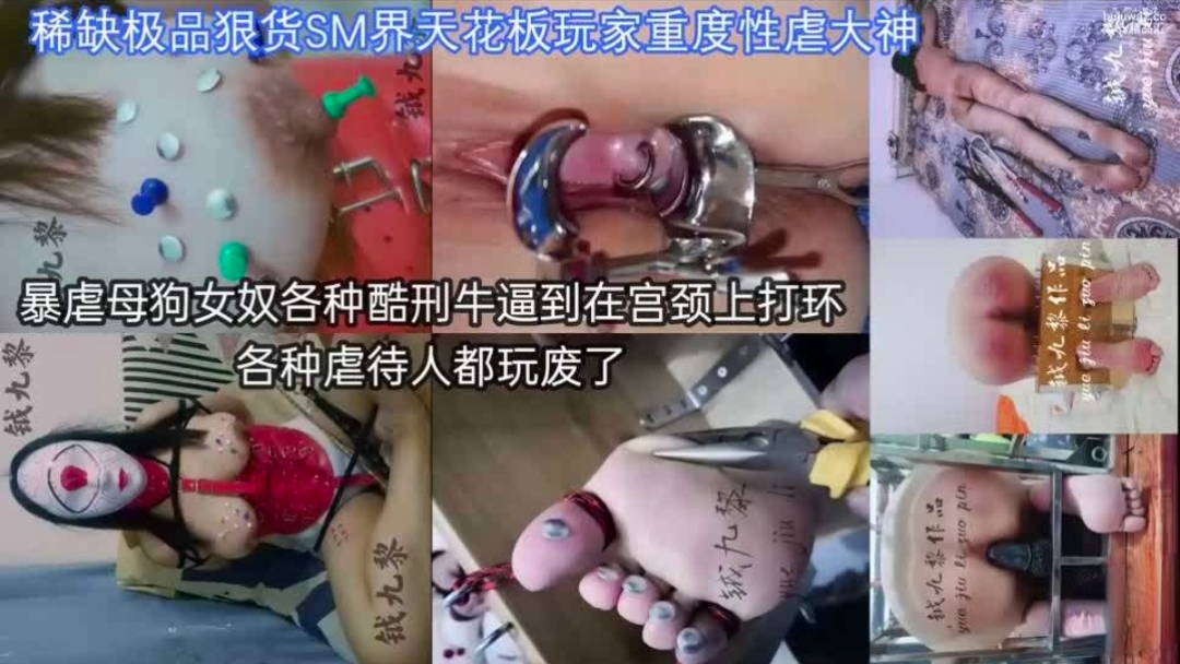 缅甸大神SM调教，暴虐母狗女奴各种酷刑宫颈上打环