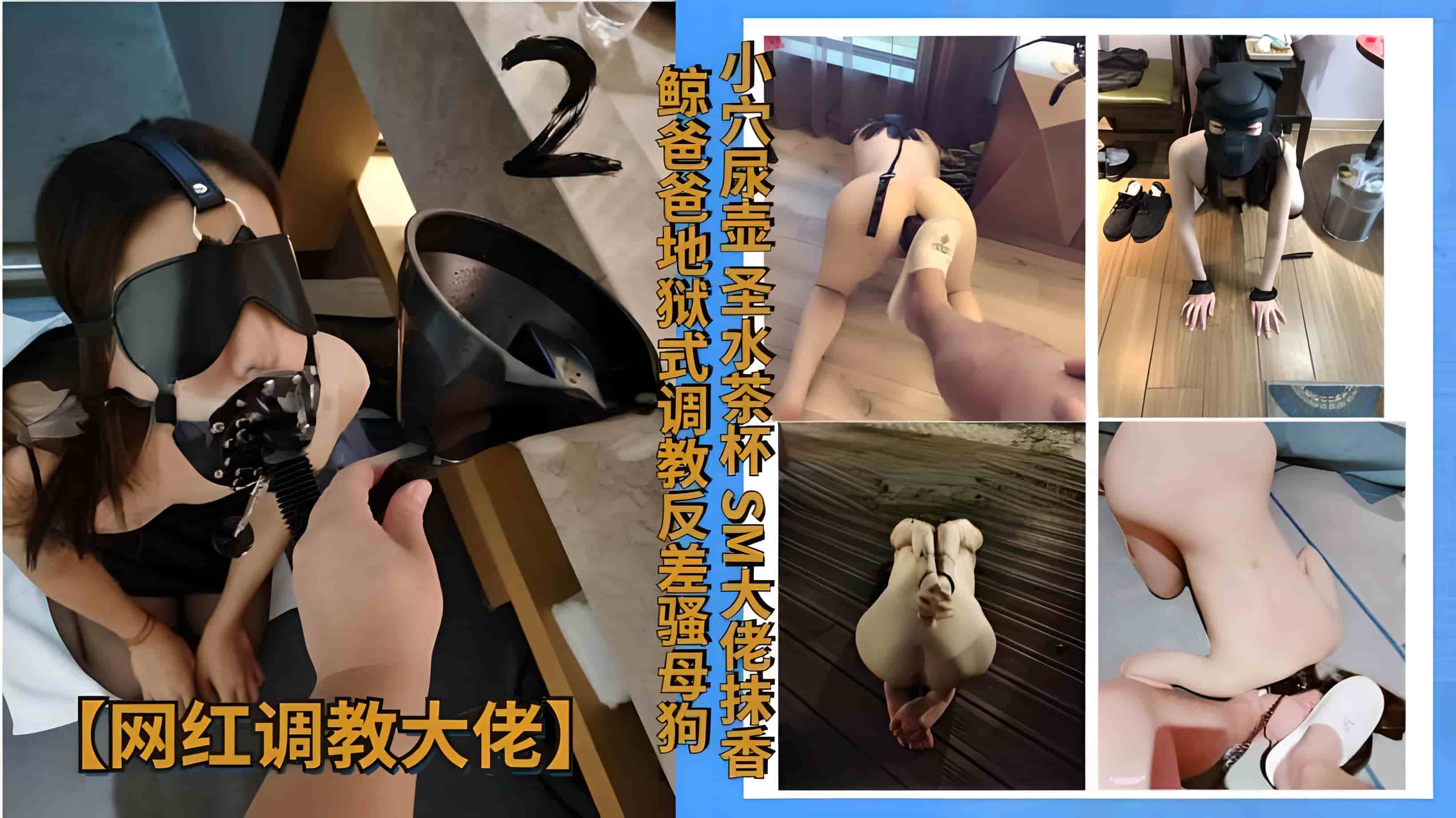 【网红调教大佬】小穴尿壶 圣水茶杯!SM大佬抹香鲸爸爸地狱式调教反差骚母狗